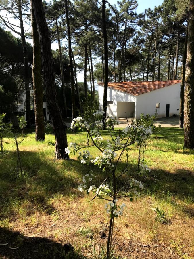Villa Colares Sintra Exterior photo